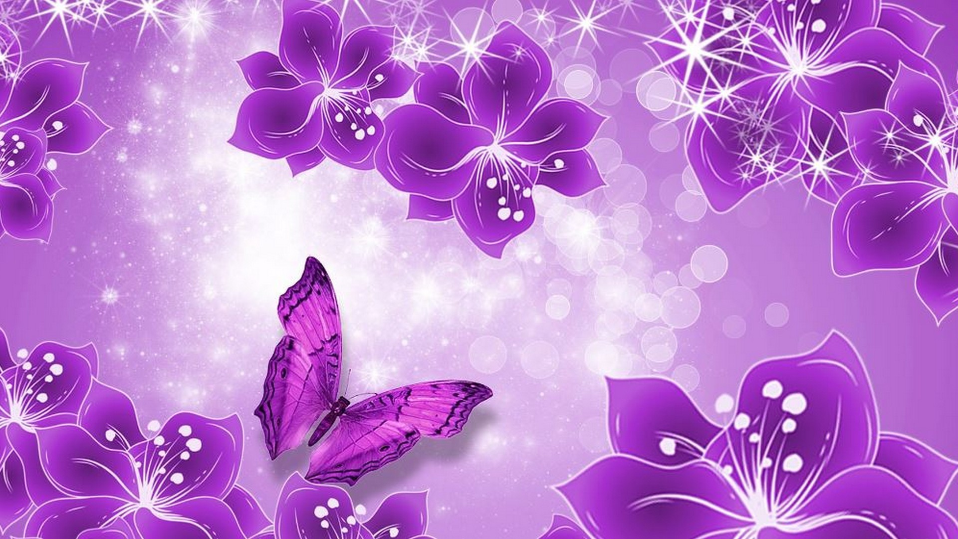 Purple Butterfly Wallpaper HD 1920x1080