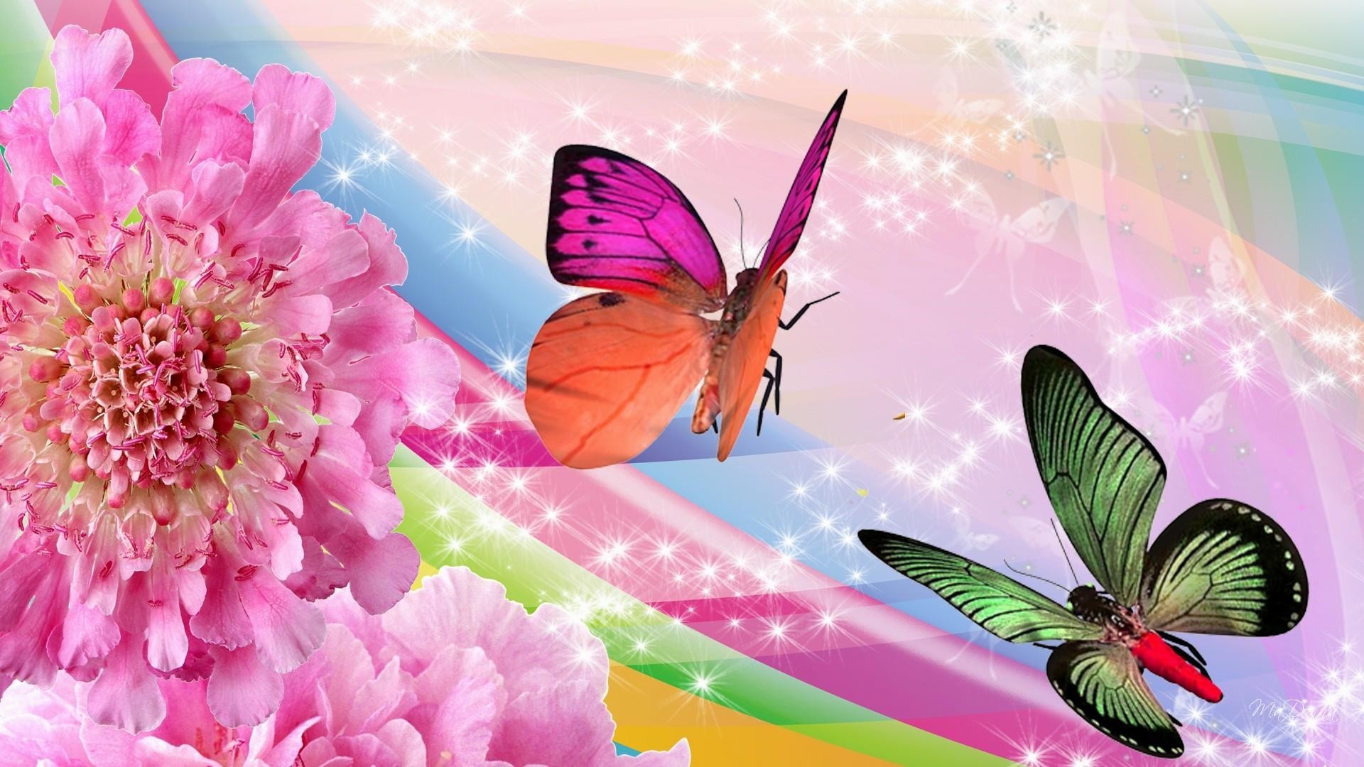 Wallpaper Butterfly Design HD 1920x1080