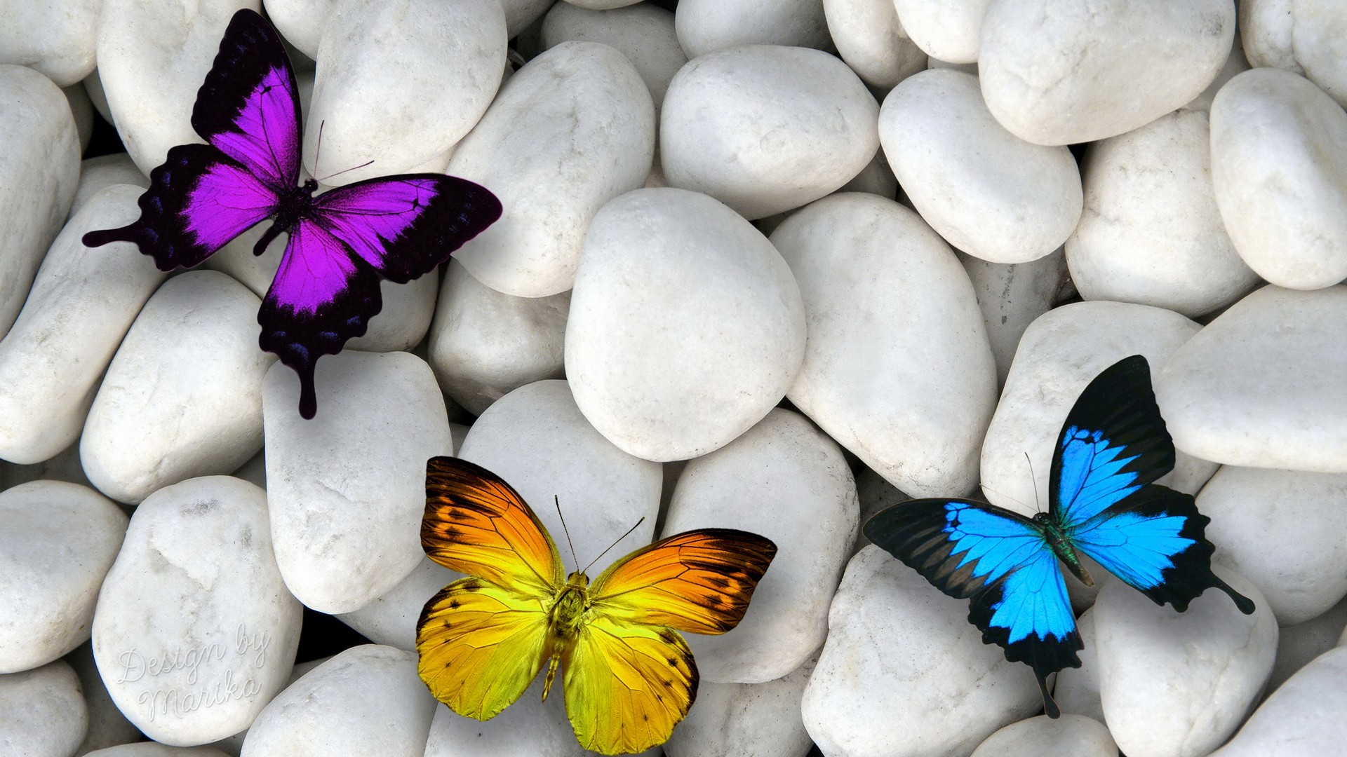 Fondos De Pantalla Pc Mariposas Butterflies Live Wallpaper For Pc ...