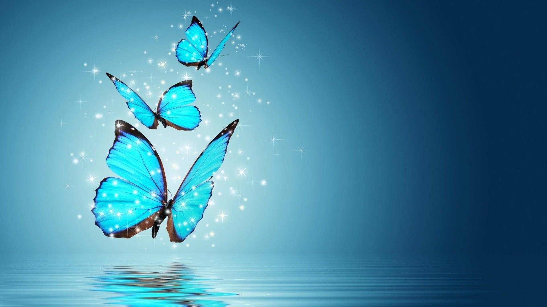 Wallpaper HD Blue Butterfly With Resolution 1920X1080