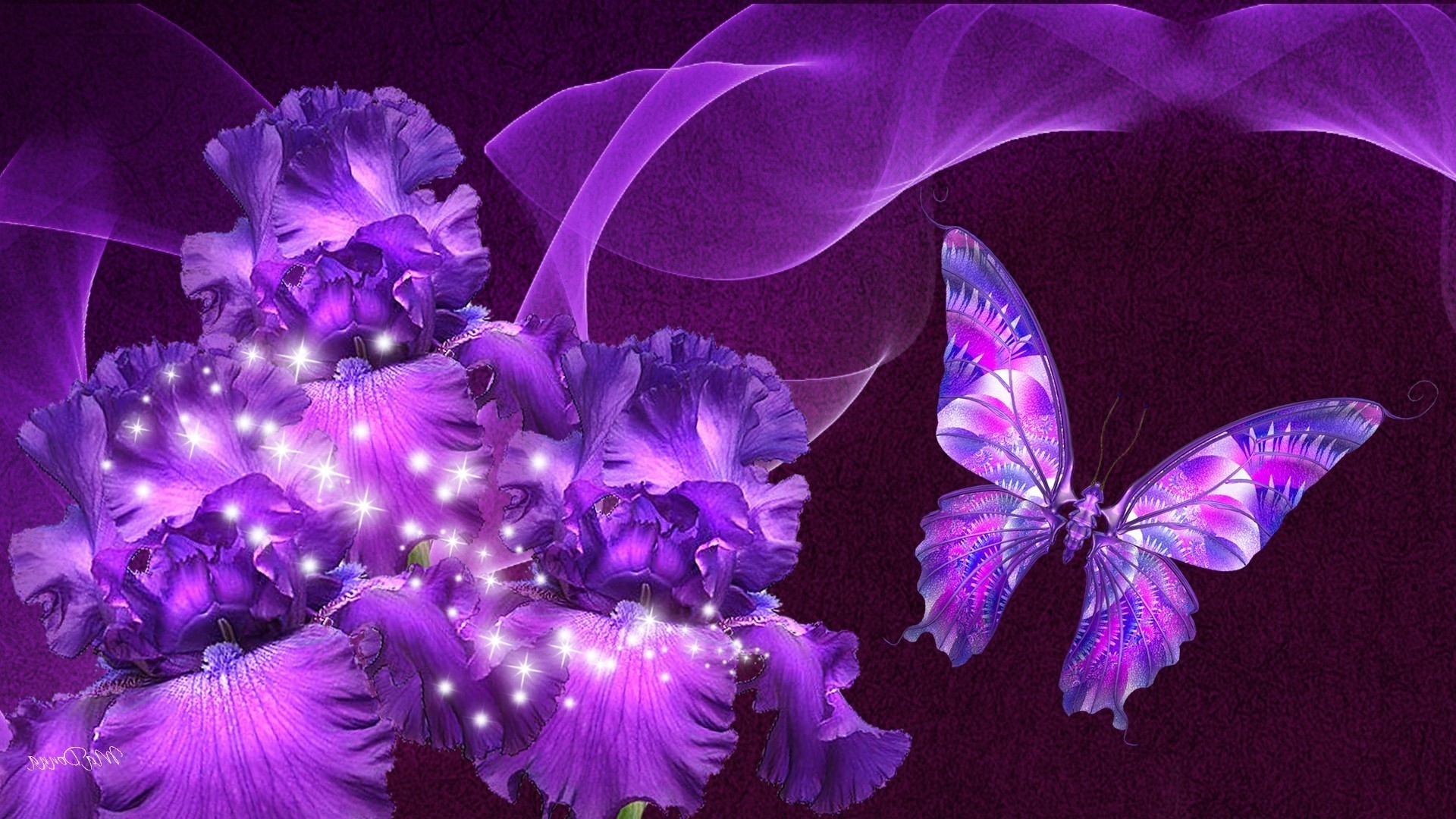 Wallpaper HD Purple Butterfly With Resolution 1920X1080