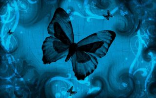 Wallpapers Computer Blue Butterfly With Resolution 1920X1080
