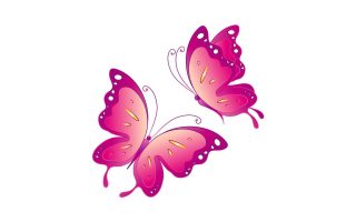 Wallpapers Computer Pink Butterfly With Resolution 1920X1080