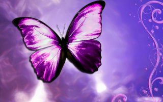 Wallpapers Computer Purple Butterfly With Resolution 1920X1080