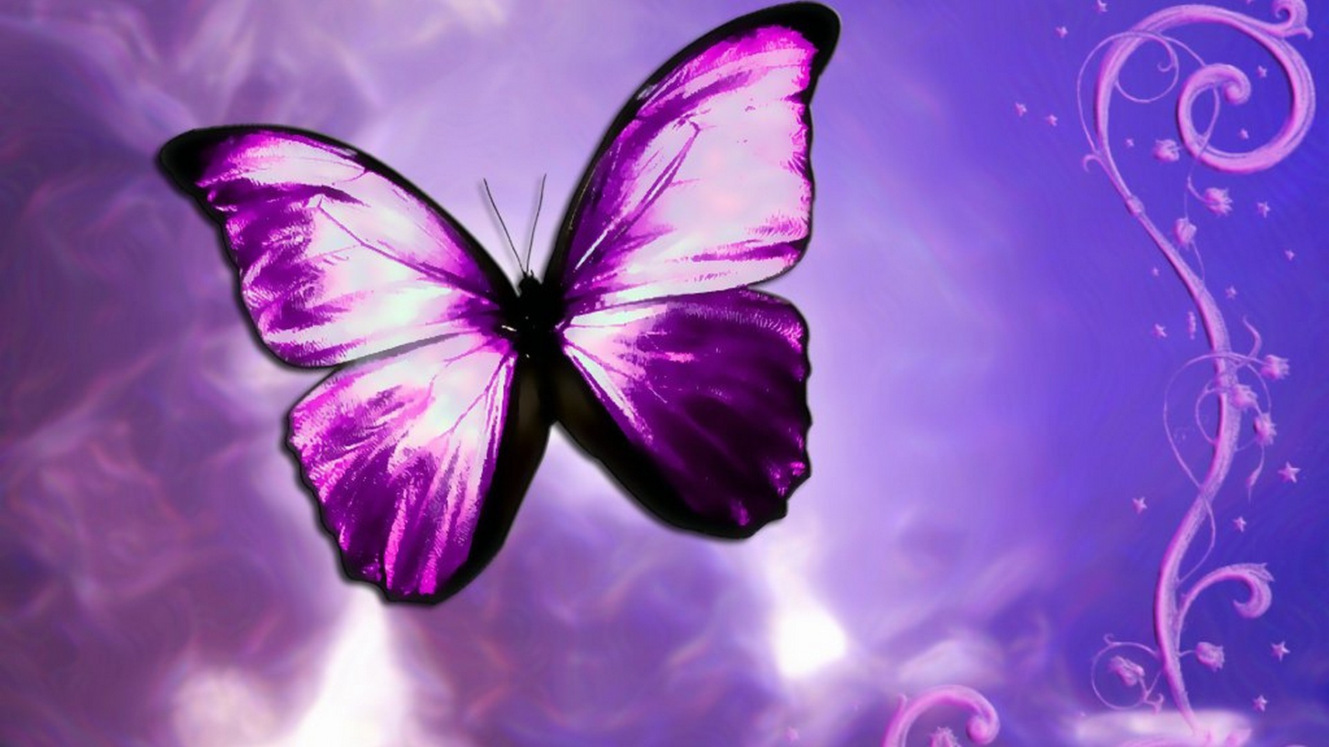 Wallpapers Computer Purple Butterfly With Resolution 1920X1080