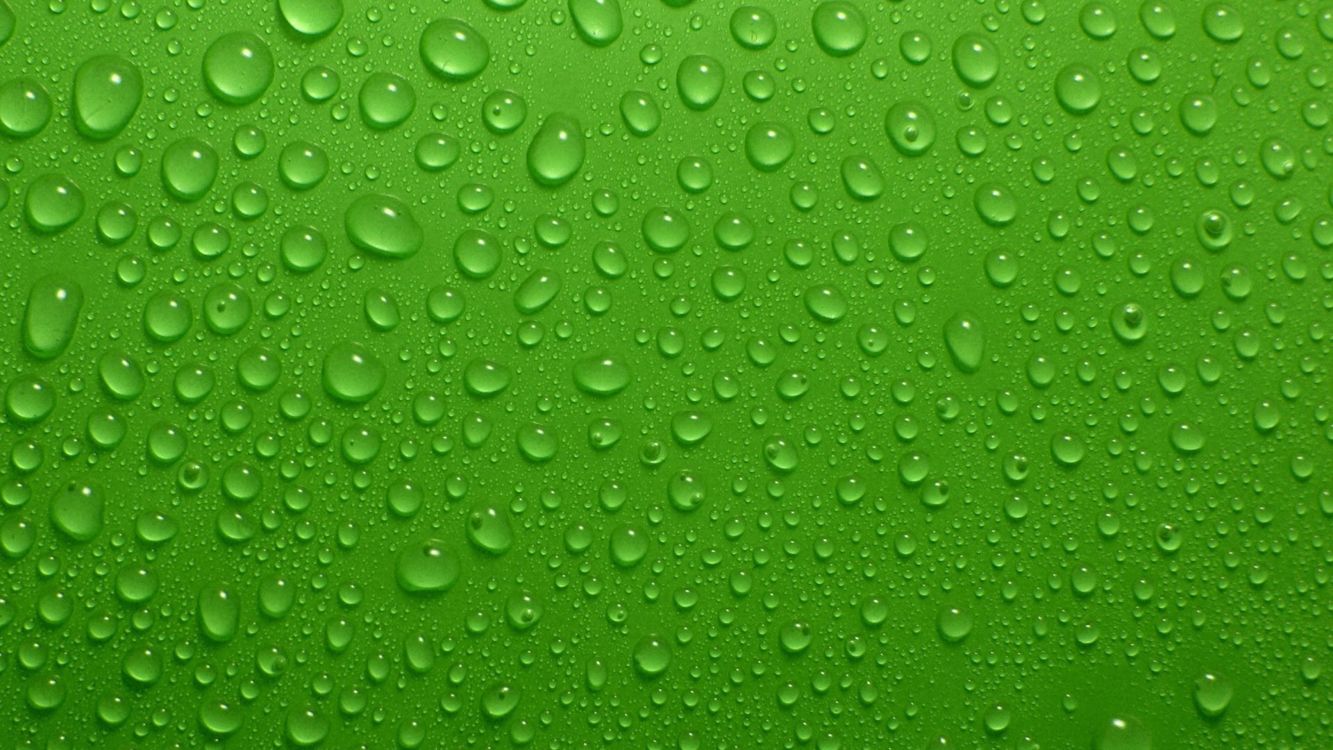 Green Colour Background Wallpaper HD With Resolution 1920X1080 pixel. You can make this wallpaper for your Desktop Computer Backgrounds, Mac Wallpapers, Android Lock screen or iPhone Screensavers