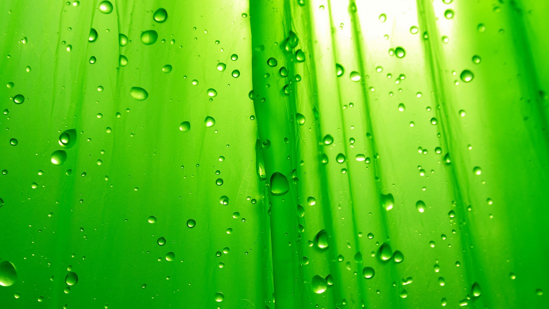 HD Wallpaper Light Green With Resolution 1920X1080 pixel. You can make this wallpaper for your Desktop Computer Backgrounds, Mac Wallpapers, Android Lock screen or iPhone Screensavers