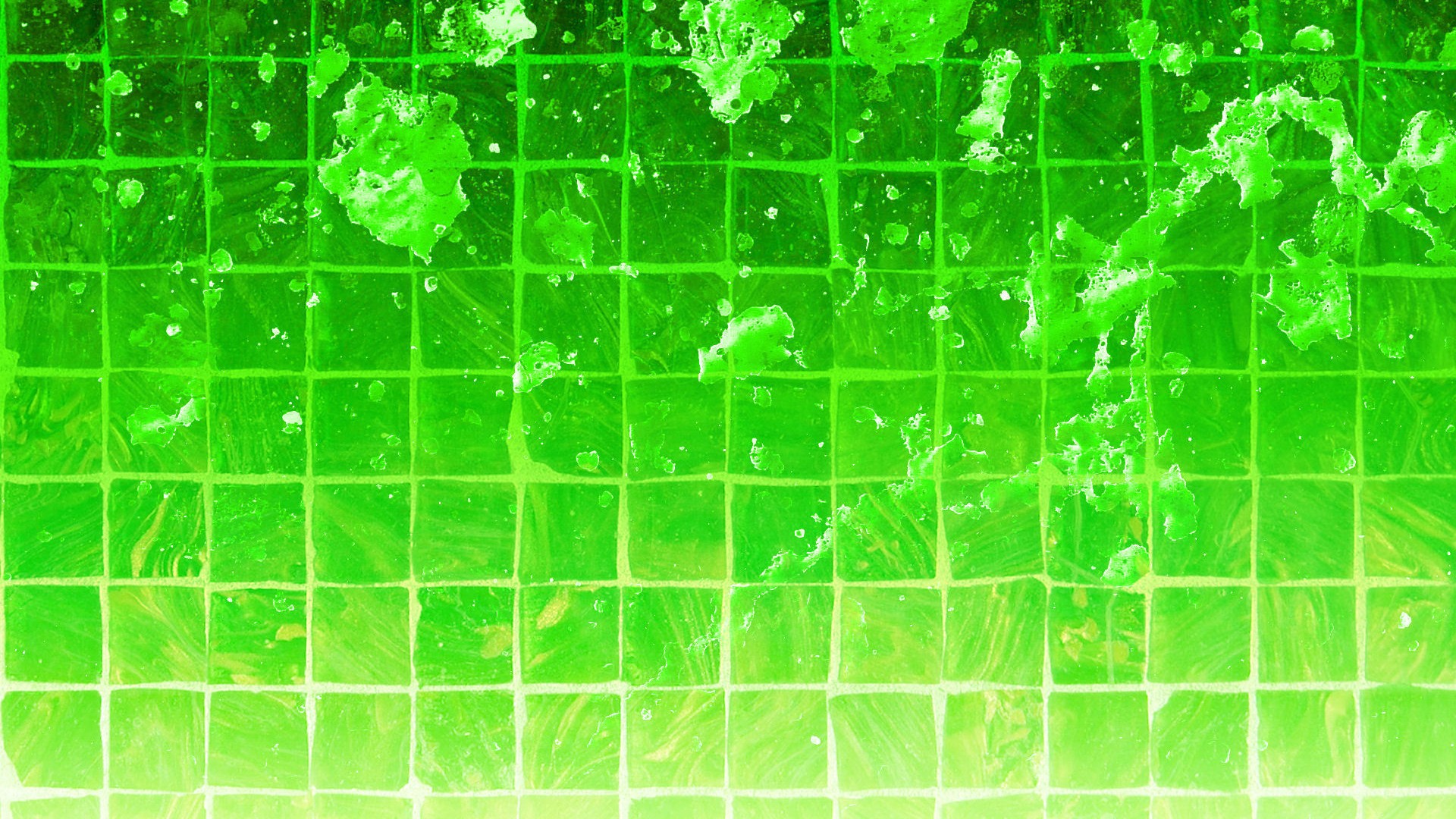 Lime Green Wallpaper HD With Resolution 1920X1080 pixel. You can make this wallpaper for your Desktop Computer Backgrounds, Mac Wallpapers, Android Lock screen or iPhone Screensavers