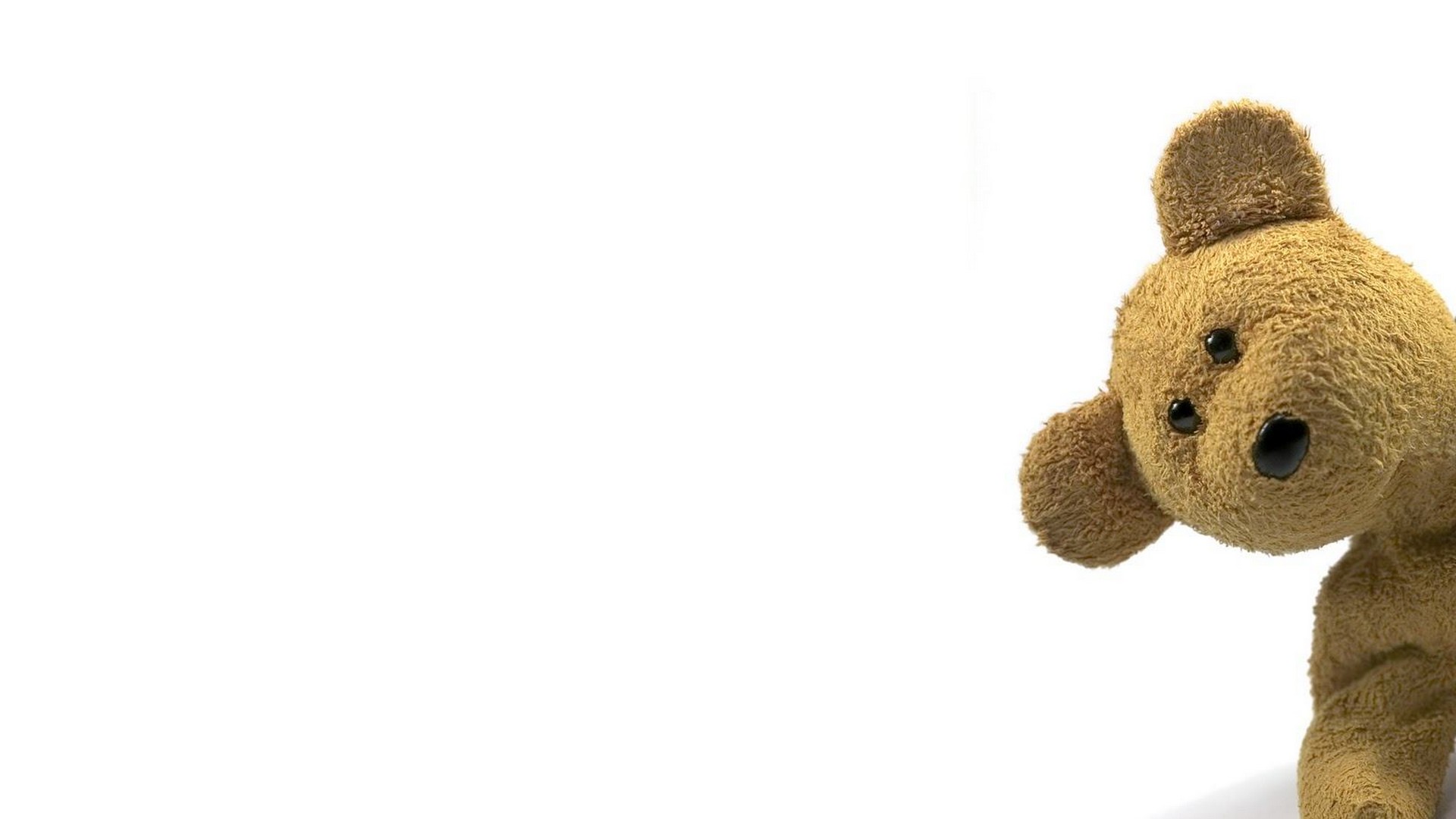 Big Teddy Bear Background Wallpaper HD With Resolution 1920X1080 pixel. You can make this wallpaper for your Desktop Computer Backgrounds, Mac Wallpapers, Android Lock screen or iPhone Screensavers