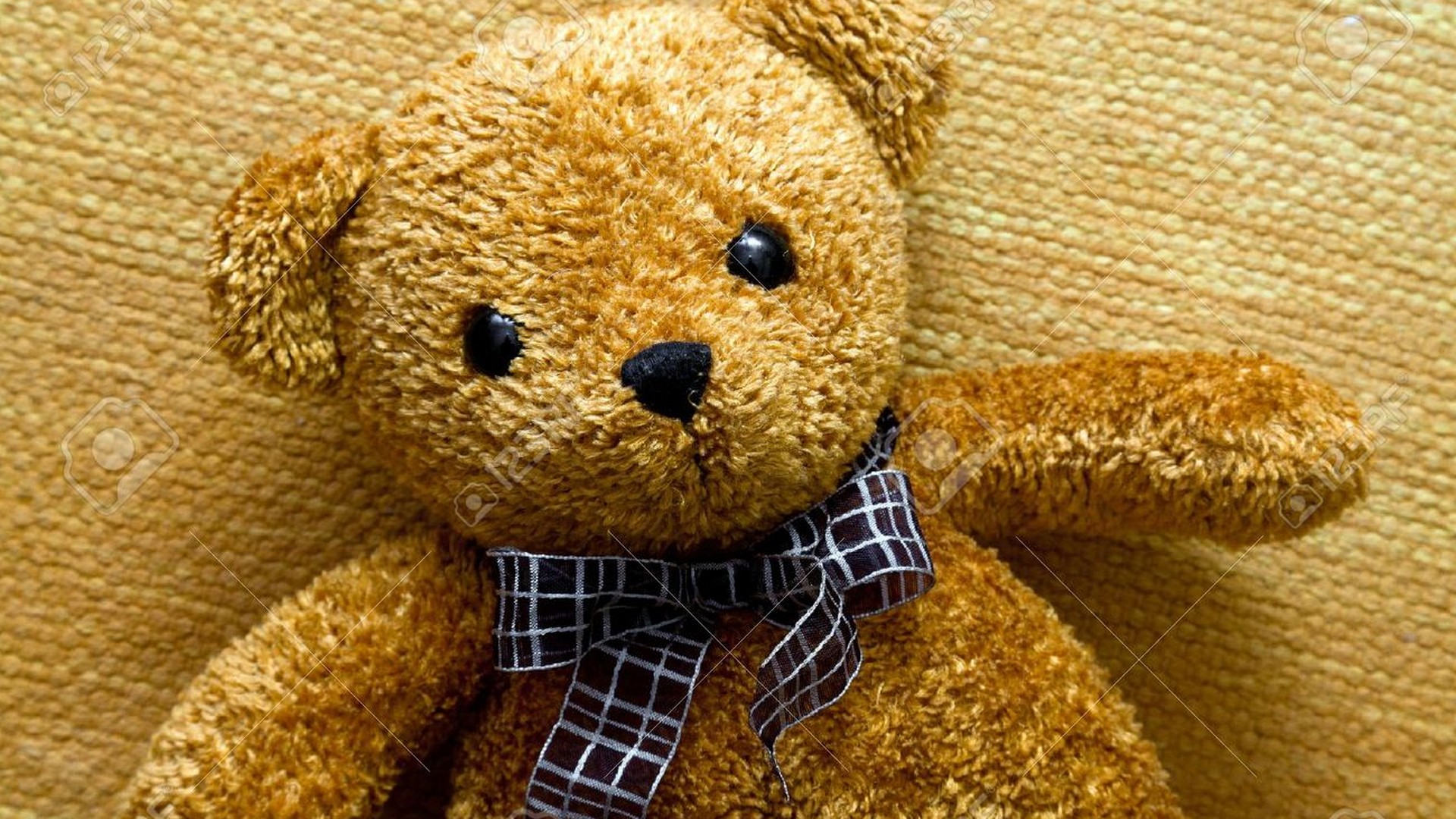 Teddy Bear Desktop Backgrounds With Resolution 1920X1080 pixel. You can make this wallpaper for your Desktop Computer Backgrounds, Mac Wallpapers, Android Lock screen or iPhone Screensavers