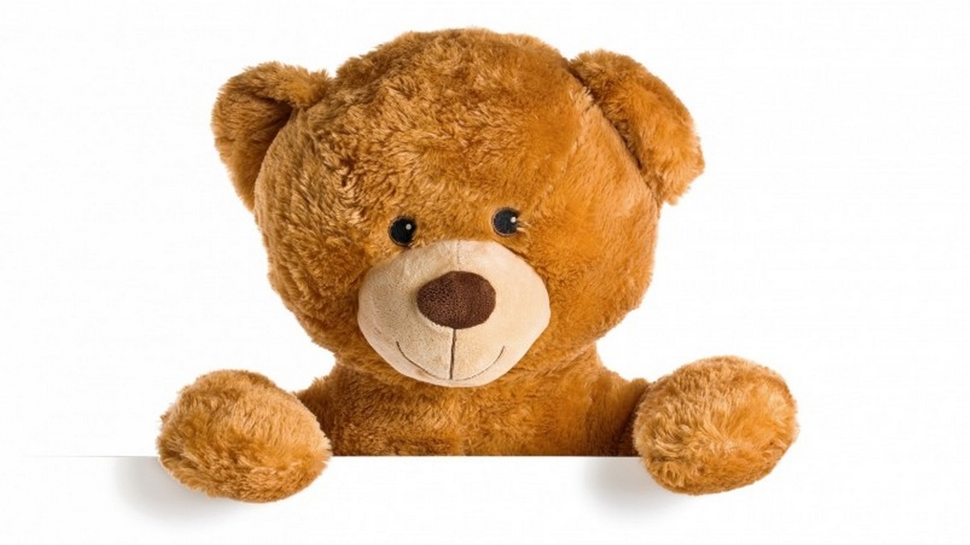 big teddy hd images