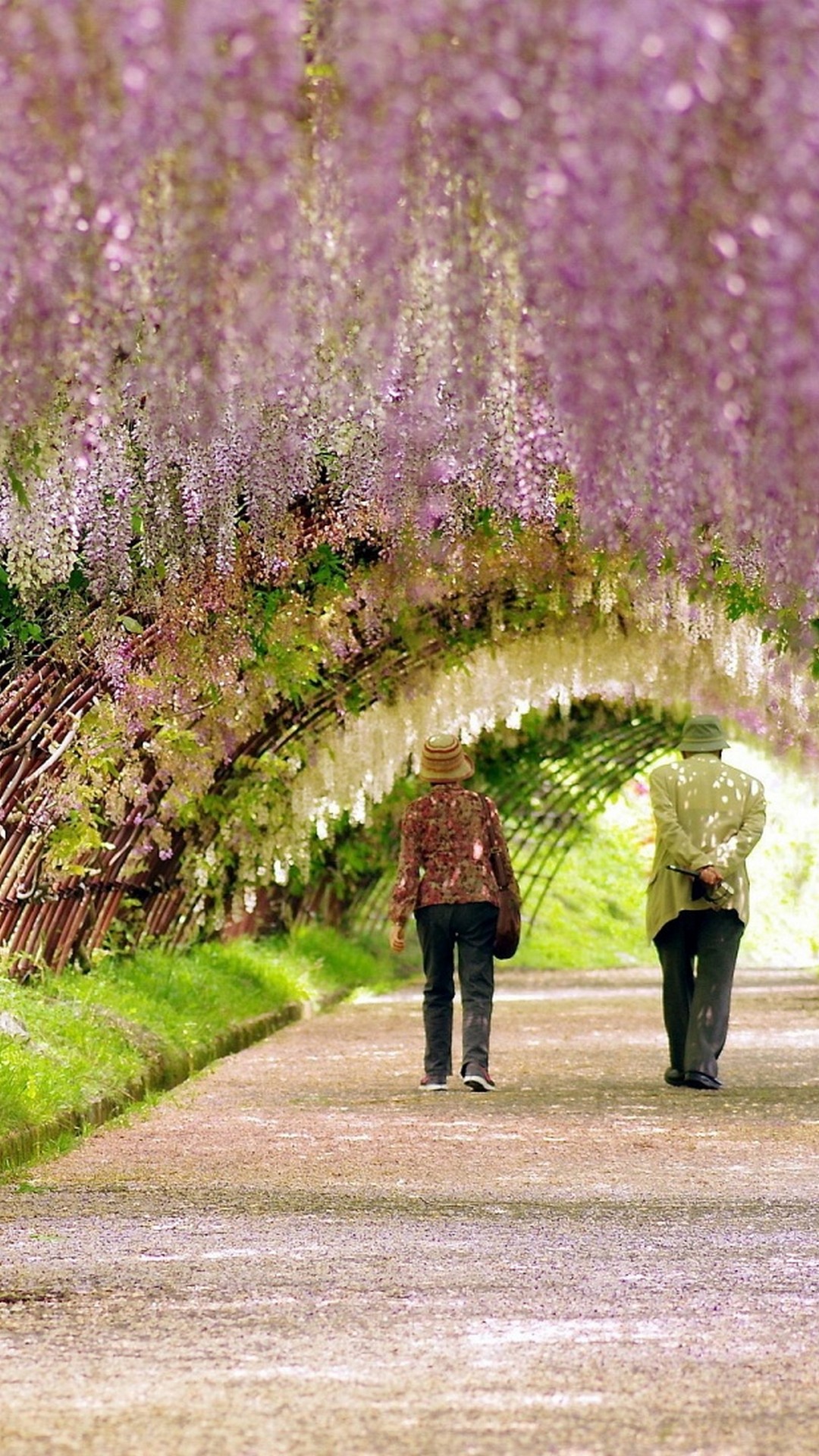 20 Greatest spring wallpaper cave You Can Get It Free Of Charge ...