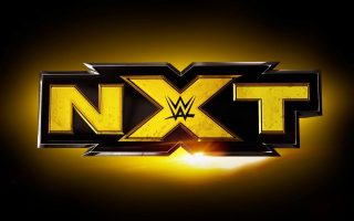 Wallpaper NXT WWE HD With high-resolution 1920X1080 pixel. You can use this wallpaper for your Desktop Computer Backgrounds, Mac Wallpapers, Android Lock screen or iPhone Screensavers and another smartphone device