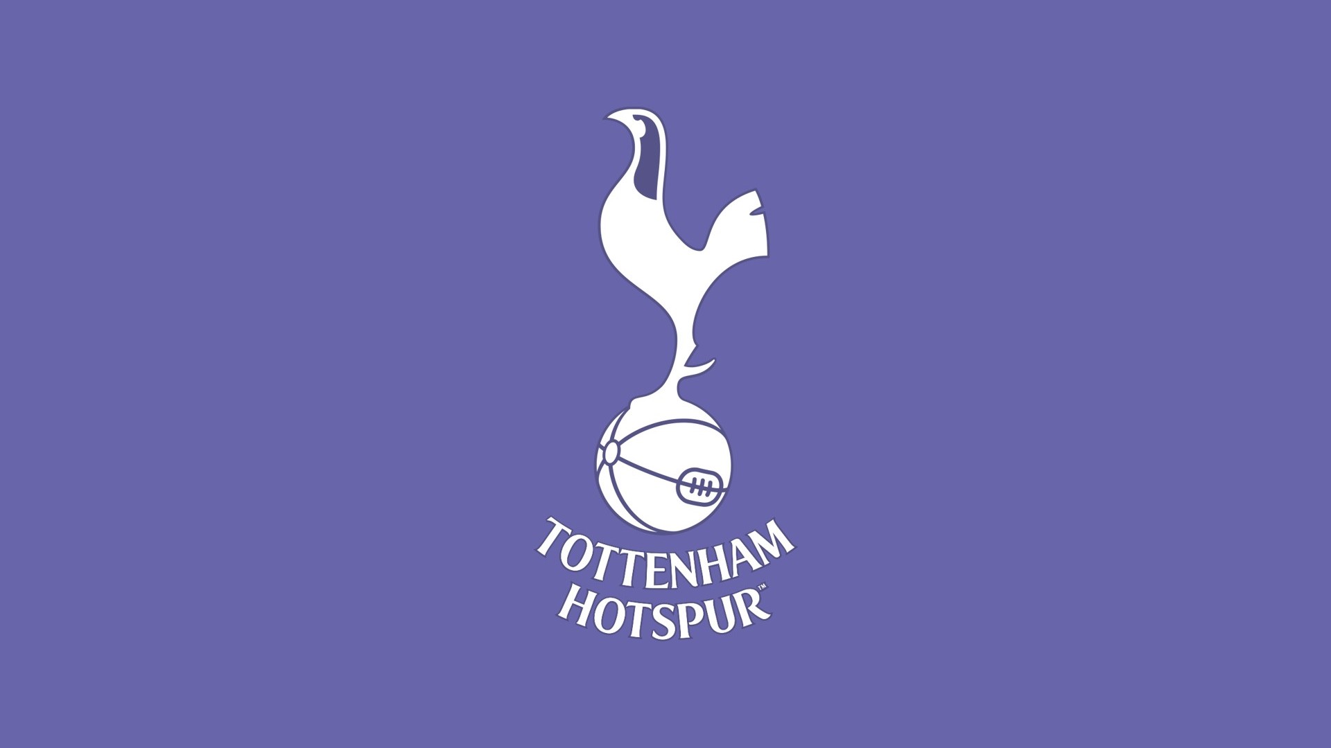 HD Wallpaper Tottenham Hotspur With high-resolution 1920X1080 pixel. You can use this wallpaper for your Desktop Computer Backgrounds, Mac Wallpapers, Android Lock screen or iPhone Screensavers and another smartphone device