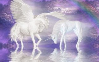 Cute Unicorn HD Backgrounds With high-resolution 1920X1080 pixel. You can use this wallpaper for your Desktop Computer Backgrounds, Mac Wallpapers, Android Lock screen or iPhone Screensavers and another smartphone device