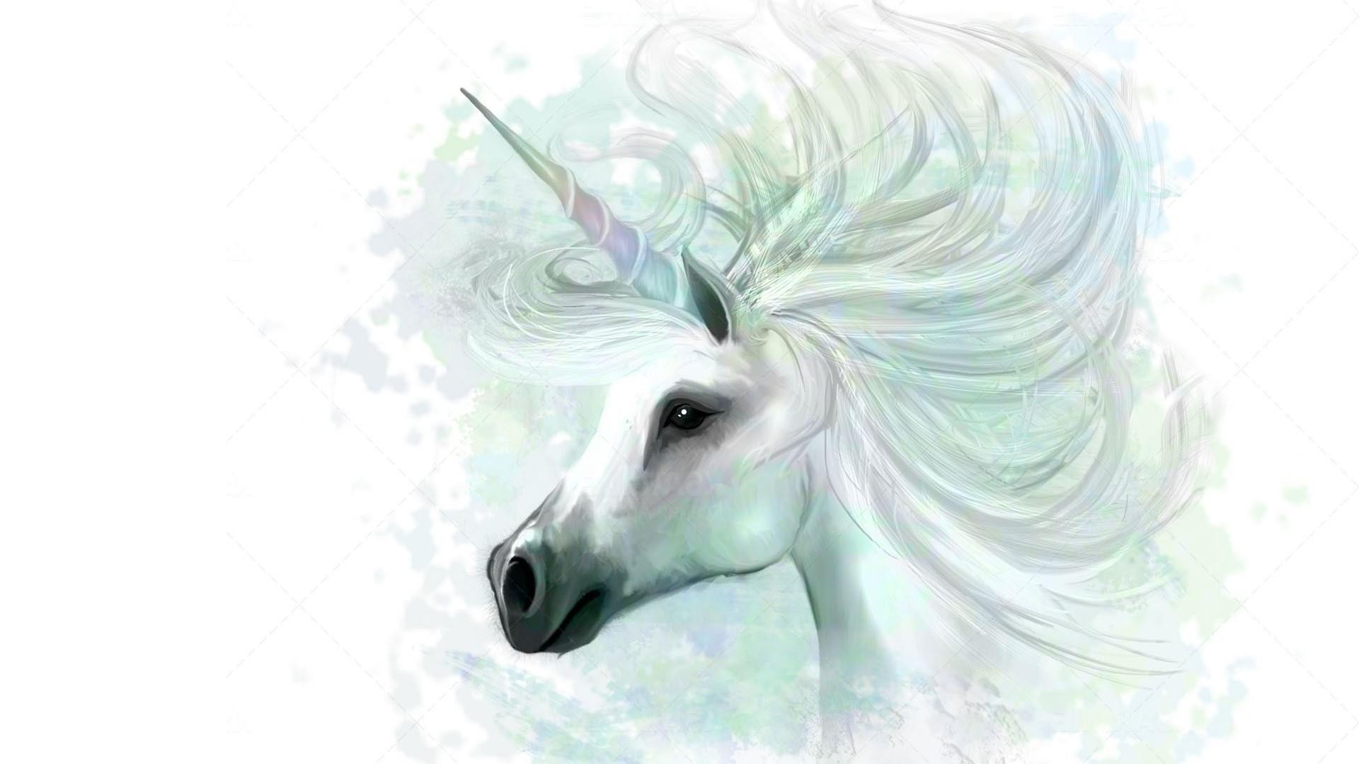 Unicorn HD Wallpaper With high-resolution 1920X1080 pixel. You can use this wallpaper for your Desktop Computer Backgrounds, Mac Wallpapers, Android Lock screen or iPhone Screensavers and another smartphone device