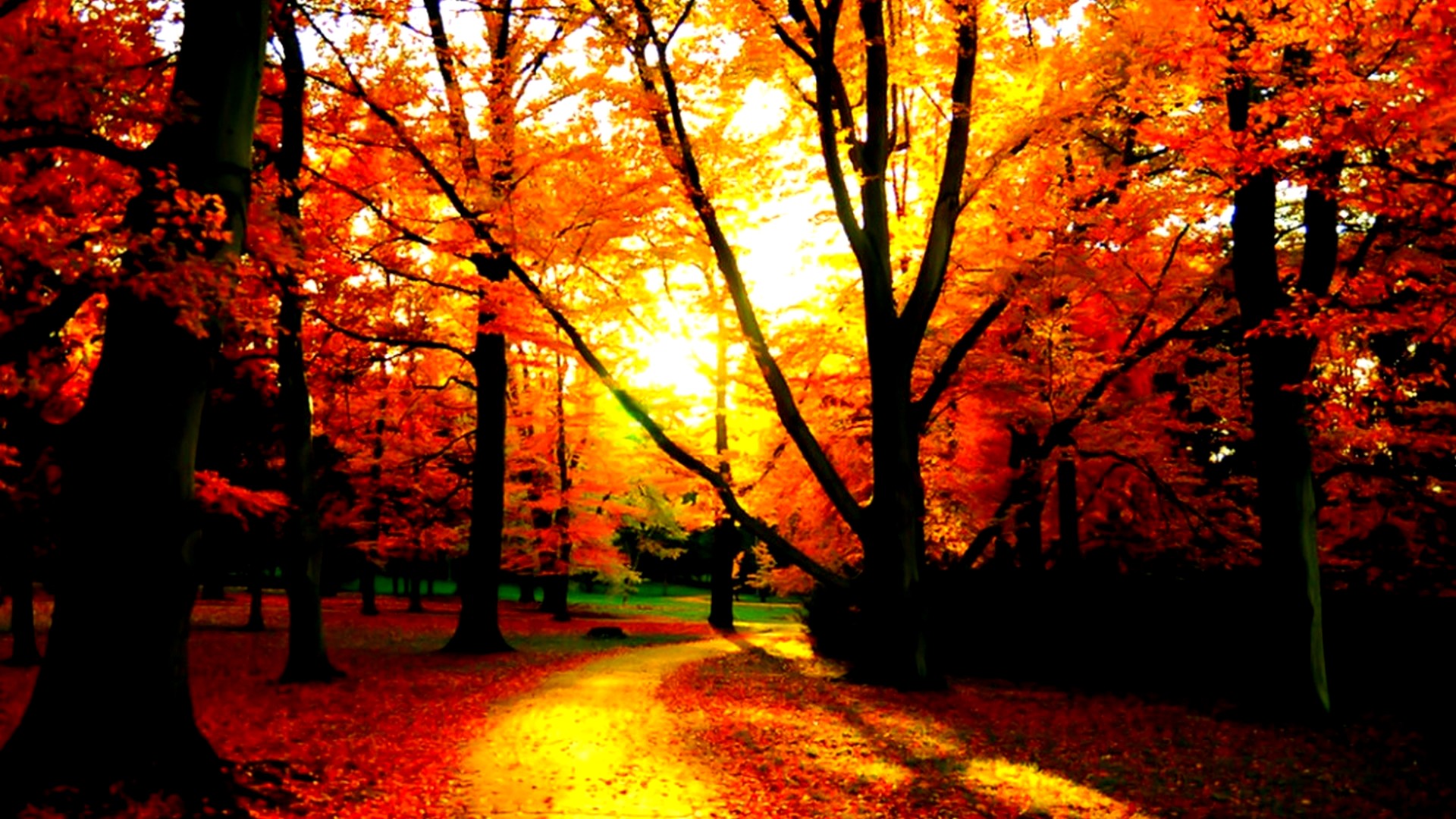 October HD Wallpaper with high-resolution 1920x1080 pixel. You can use this wallpaper for your Desktop Computer Backgrounds, Mac Wallpapers, Android Lock screen or iPhone Screensavers and another smartphone device